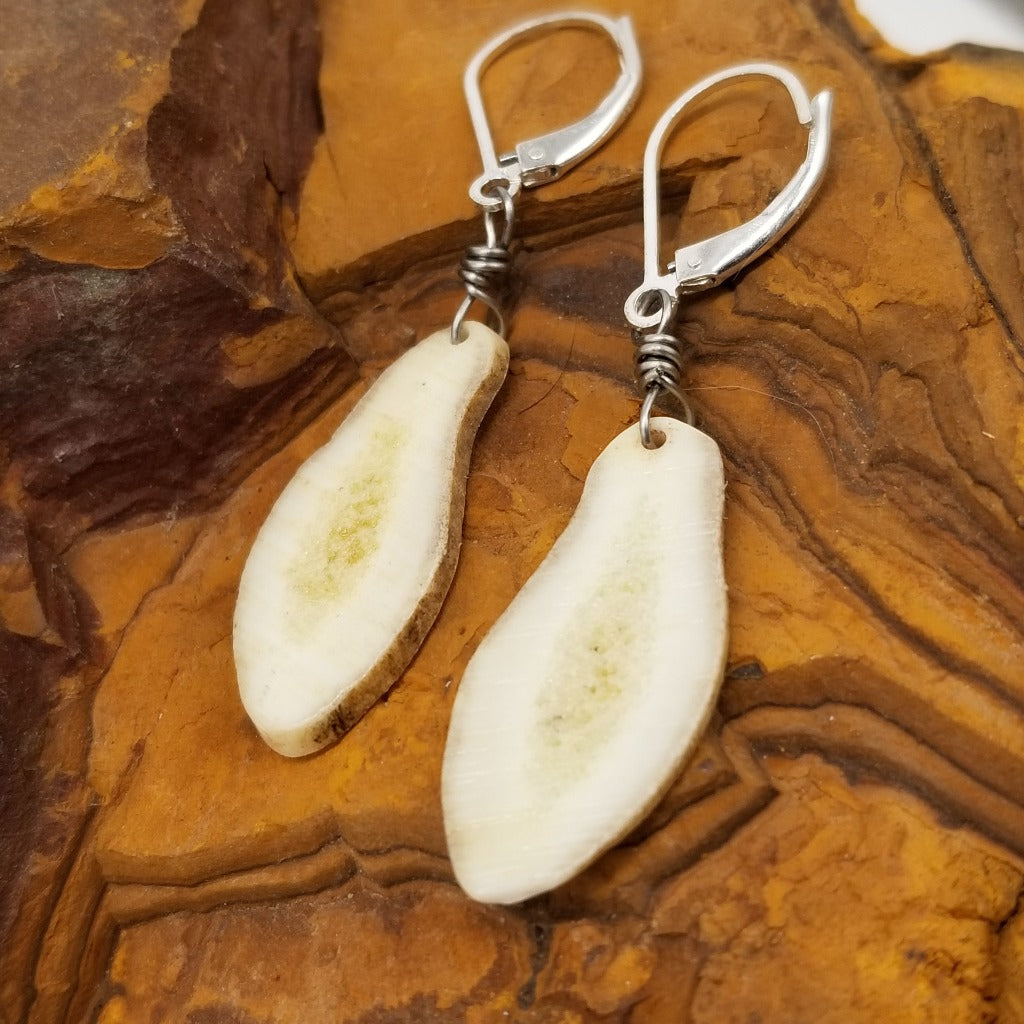 Thin slices of White tail deer antlers on Sterling Silver lever backs