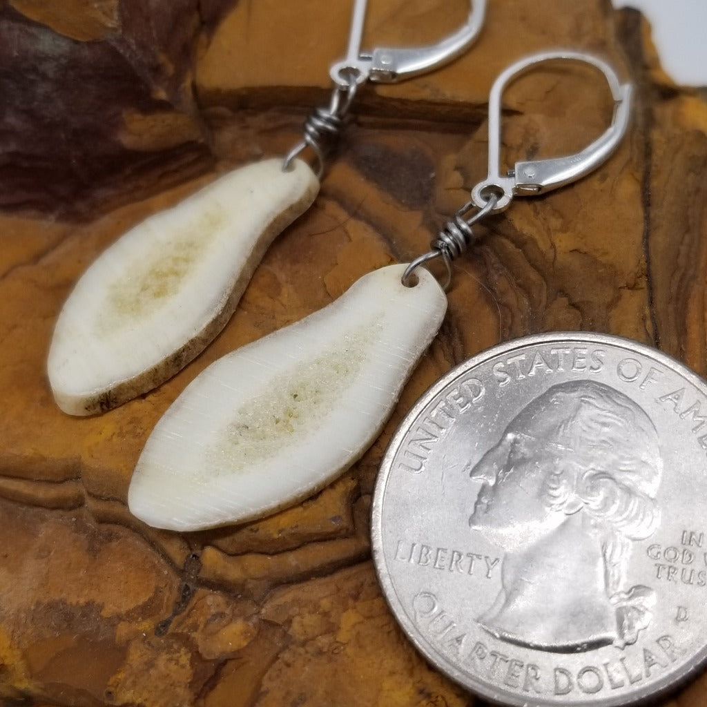 Thin slices of White tail deer antlers on Sterling Silver lever backs